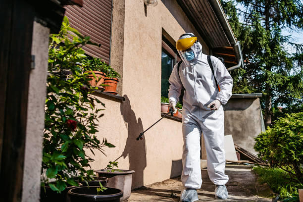 Best Pest Removal Services  in Springfield, MA
