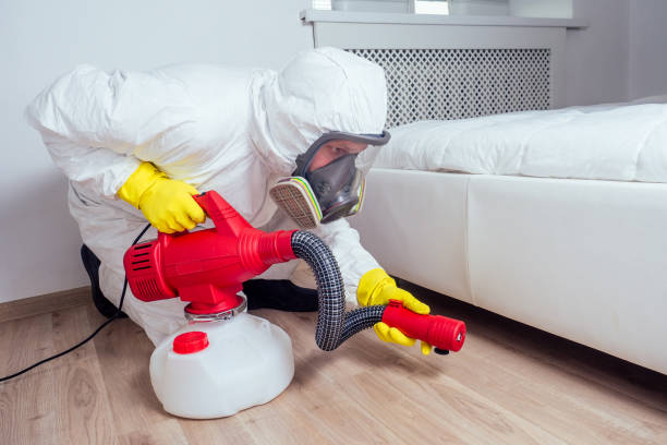 Best Exterminator Services  in Springfield, MA