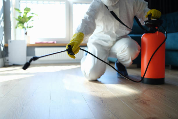 Wasp Removal Services in Springfield, MA